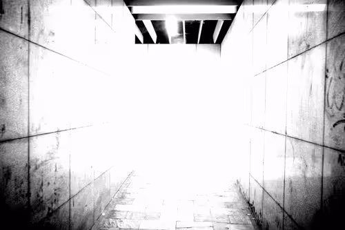 Item #40924867704625931810810432918766781072375131540904661553211691921766153715713 Media