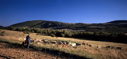 Item #35059650464012303827222025137933488890334856624712378802385142638942709874693 Media