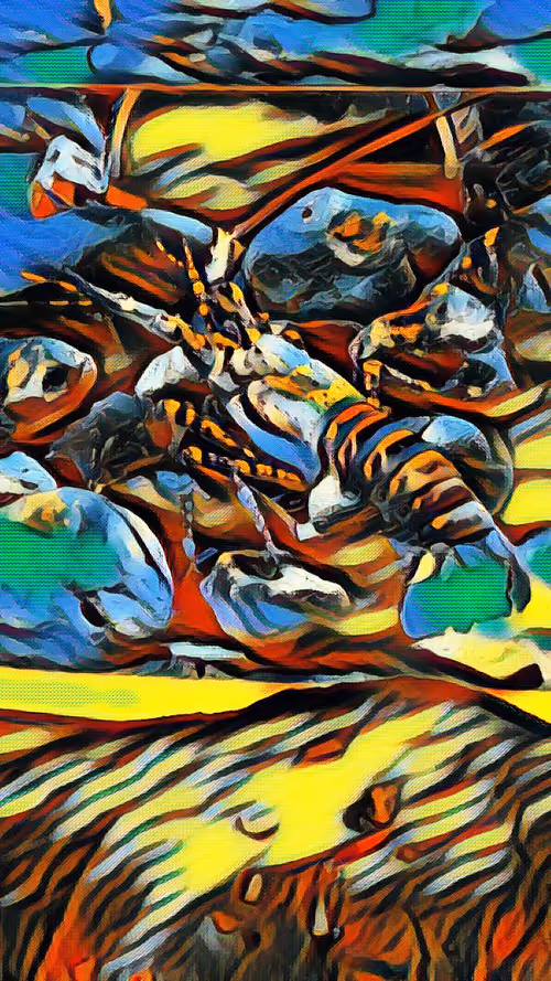 Item #112046021033654007241005822439757220181591102796162182186879994009201676386305 Media