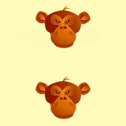 Chimp10