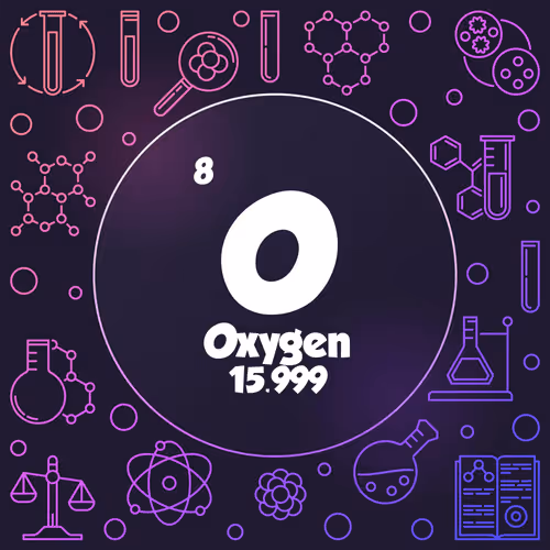 Item #24539137871198850964947623123331476015304318592780498584148117828378873036825 Media