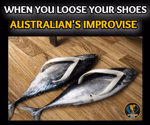 Item #80317800320504061765698405195946639527219012869663641548799070456875956830209 Media