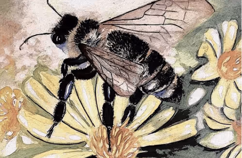 Item #18555901255803662960554781728171964529156854645803769185665032018503151911012 Media