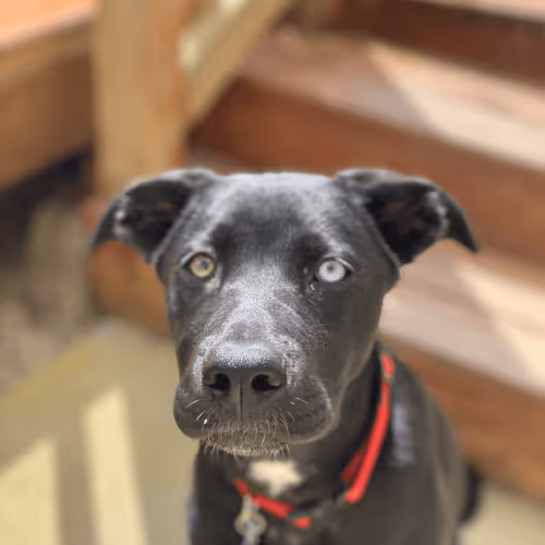 Untitled Collection #147324268