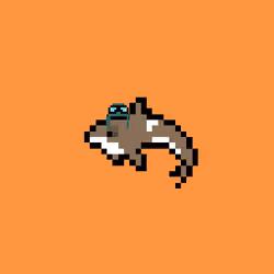 Crypto Whale #30
