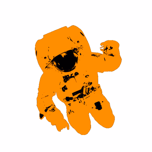 Billionaire Astronaut # 3