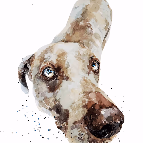 Item #15308155937593783866228062712704217529335676444312394672786838672199949221893 Media