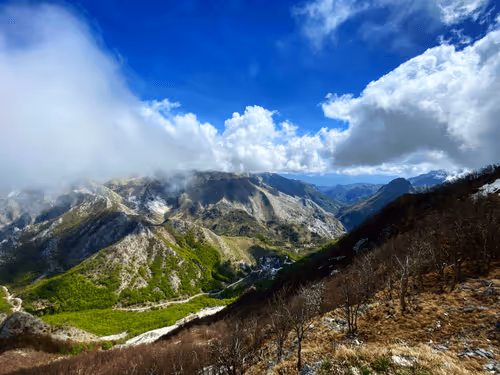 Item #36336170879608208403963751604494433054462935544758920663222913847277173866497 Media