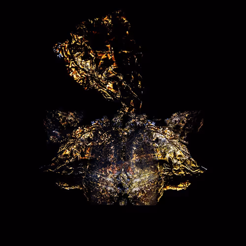 Item #36002853305092959107981894446671279209236054033094961003771345098940501458945 Media