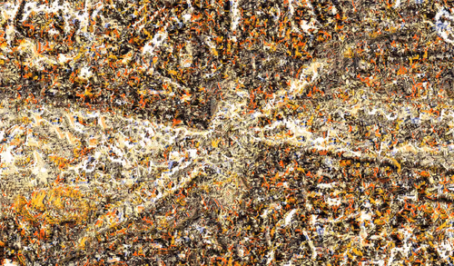 Item #80092882259493367463484569941862688859981243870241048997485309618899935821825 Media