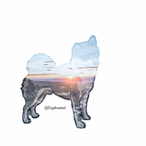 Item #39512557744855815145699432122177096147192694607336115556946780407679590334465 Media