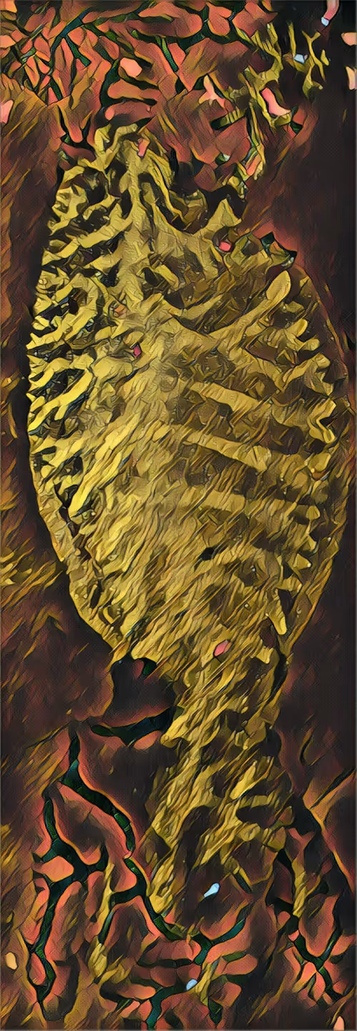 Item #28817999449131215171545490538415490750384992368944775550286936416364158517249 Media