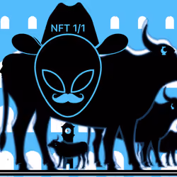 NFT 1/1