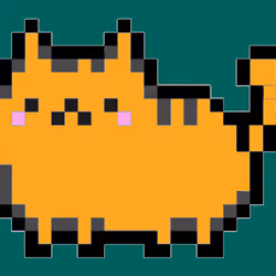 block cat