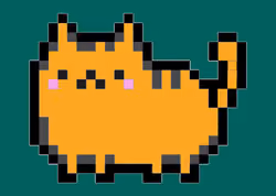 block cat