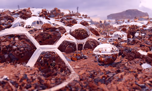 Item #86676236056041485527516523587631338578933201343241758942207262827996482895873 Media