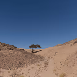 109162157552346088047496633038404394118504199992061596446112929322555687305217