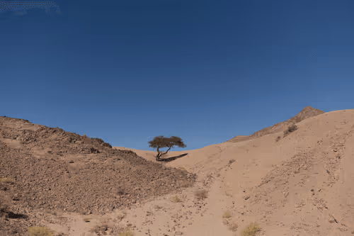 Item #109162157552346088047496633038404394118504199992061596446112929322555687305217 Media