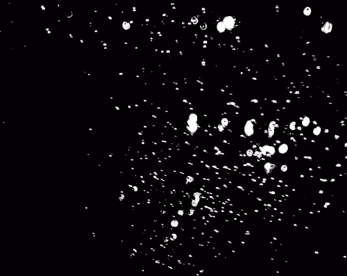 Item #33878741317947757839566996595602604469585244495784513692224700284109137641473 Media