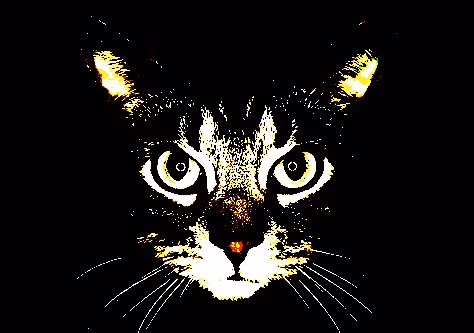 23538819986925566434507765811444276093104658907602947149672917163487533203457