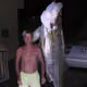 110736820090380133911179047727885301263682295878656423982019105816868376543242