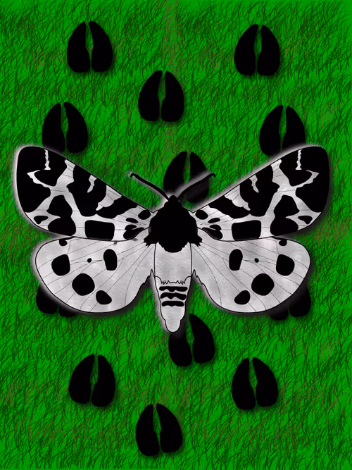 Item #26695375726130491819846042962505402337385115040526357390892607883031051501569 Media