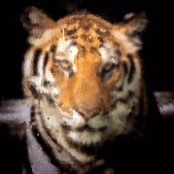 11276162529628641556553056529614973332754405277106184420845745022422661201921