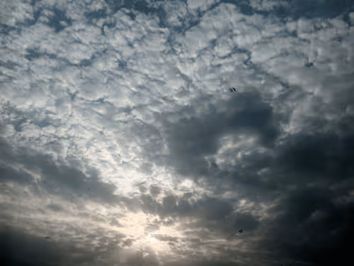 Item #31682110117807978072503887627813773985340927309802680764492894161880557289473 Media