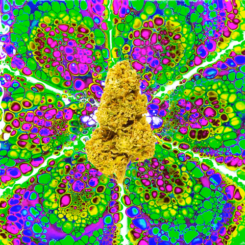 Item #13955282856406335165414100891374623718709547313428947888299033982445090242570 Media