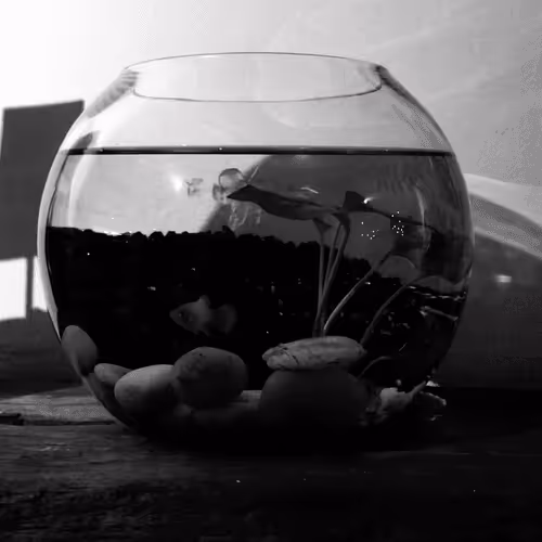 Item #78926493058180902224951420418338520494143290950102848006872373426530088386561 Media