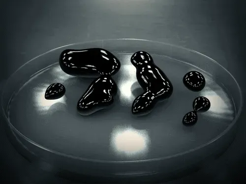 Item #85520315557315379564657610269089454540464583663000536132520199415204220502116 Media