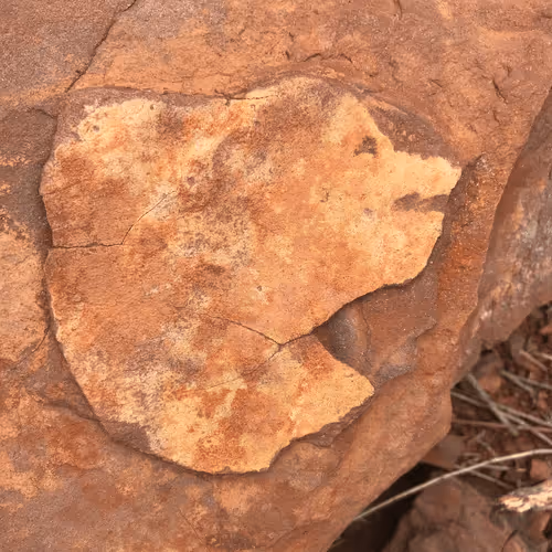 Item #28276157551077297175944571750841174861794122548634016422838007490661115232356 Media