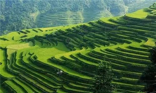 Item #81996058052058726315412742389616145211384716134415788786622313477038277666576 Media