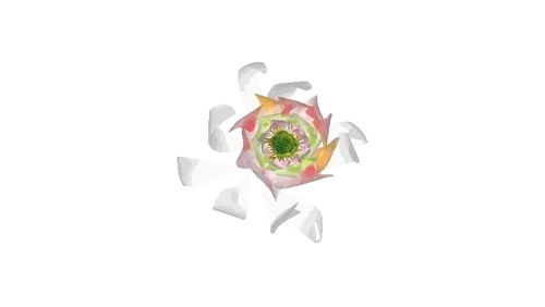 Item #50338643828038058361996161468522588055032468449555883403576576008828833759241 Media