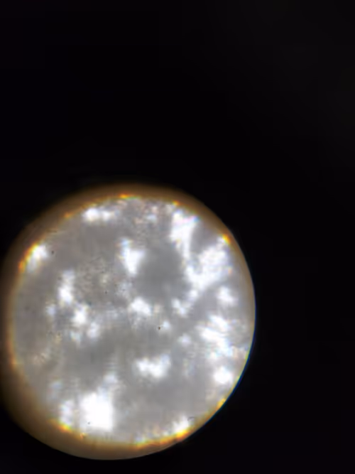 Item #12499860690887257293727532681291822536045842218714555575181684152770905505793 Media