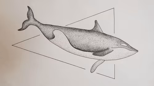 Item #76538759470423162086221664007687451855803865609260274805273386944836097023585 Media