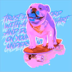 Balanced Bulldog #Chromablue