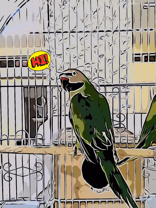 Item #76631932650870505180928448612109884945318562859466433909891869909395739508737 Media