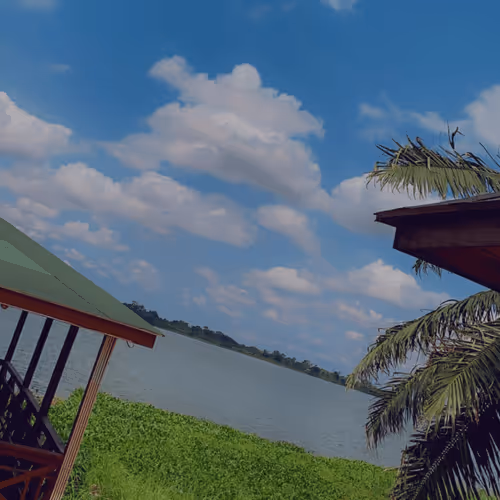 Item #53824836538918648026680043126042186080742309087165823150174572763867412168705 Media