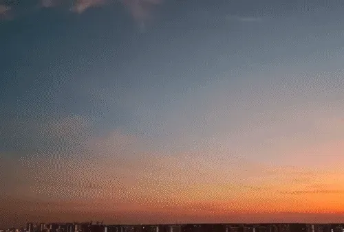 Item #54545336870129037164307986437789858251348704753246412266065009441561668222977 Media