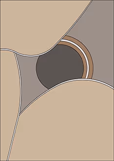 Item #100696827809043700063193843299324489613636148731764942918044764047861415411713 Media