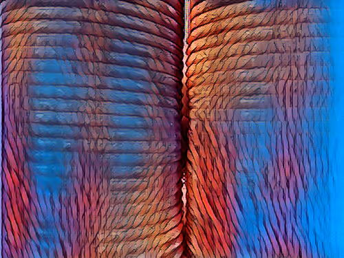 Untitled Collection #253306533