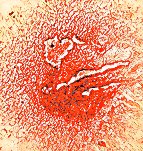 Item #16558374224031309544810590642259060897408029573872384606006677364077196476417 Media