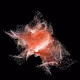 The macrocosm of particles! - old