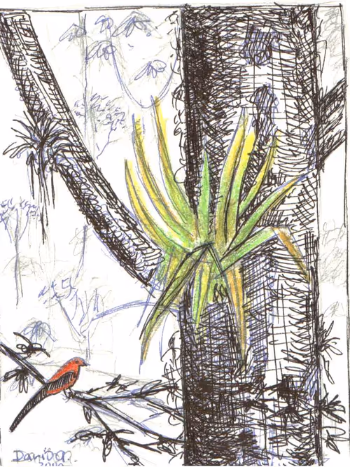 Item #7928560596793748389739041164197052664180491433310560425702145886119125843969 Media