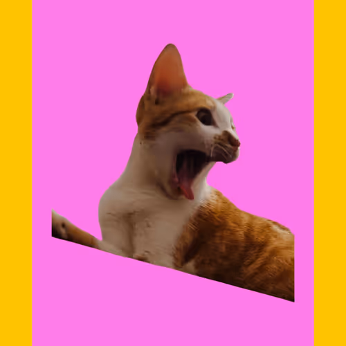 Item #105537337098781332643763052867795143586879655298764550123086746724607641780234 Media