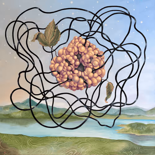 Item #54741494149603562765744826322153827582012133206214911393108864604779197759492 Media