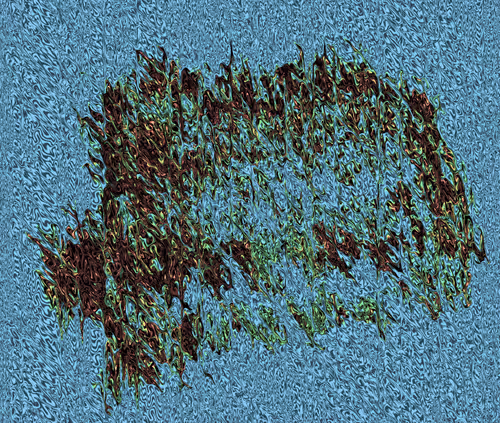 Item #113884719806260605874302169919980701029161570487325669481698148116990730960897 Media