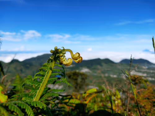 Untitled Collection #180165984