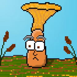 33741781216748986518517832568595493503429706584982134247768926310877443915777